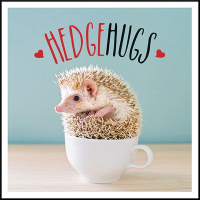 Cover for Charlie Ellis · Hedgehugs: A Spike-Tacular Celebration of the World's Cutest Hedgehogs (Gebundenes Buch) (2020)