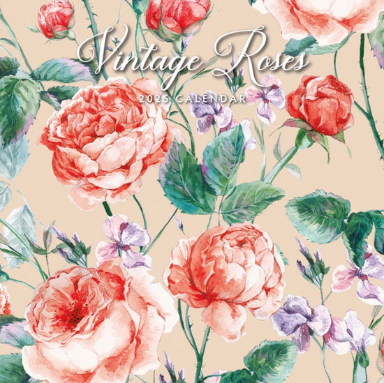 Cover for Red Robin · Vintage Roses 2025 Square Wall Calendar (Paperback Book) (2024)