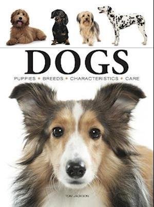 Cover for Tom Jackson · Dogs - Mini Animals (Paperback Bog) (2023)
