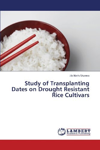 Cover for Jib Nath Sharma · Study of Transplanting Dates on Drought Resistant Rice Cultivars (Pocketbok) (2013)