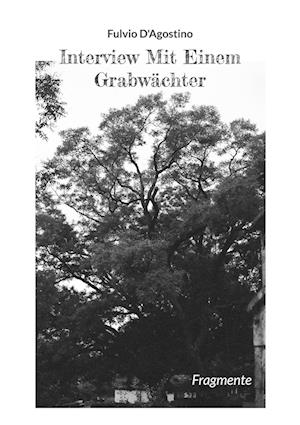 Cover for Fulvio D'Agostino · Interview Mit Einem Grabwächter (Book) (2024)