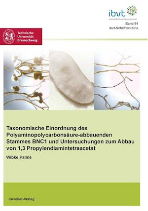 Cover for Wibke Palme · Taxonomische Einordnung des Polyaminopolycarbonsäure-abbauenden Stammes BNC1 und Untersuchungen zum Abbau von 1,3-Propylendiamintetraacetat (Paperback Book) (2012)