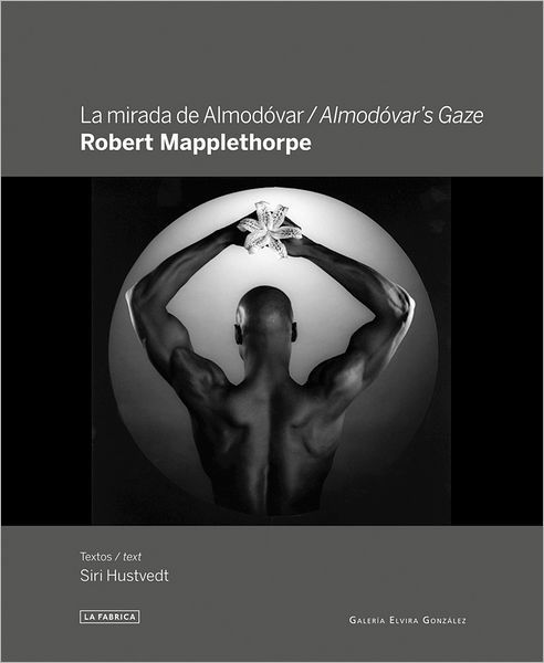 Cover for Siri Hustvedt · Almodovar's Gaze: Robert Mapplethorpe (Gebundenes Buch) (2012)