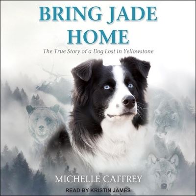 Cover for Michelle Caffrey · Bring Jade Home (CD) (2019)