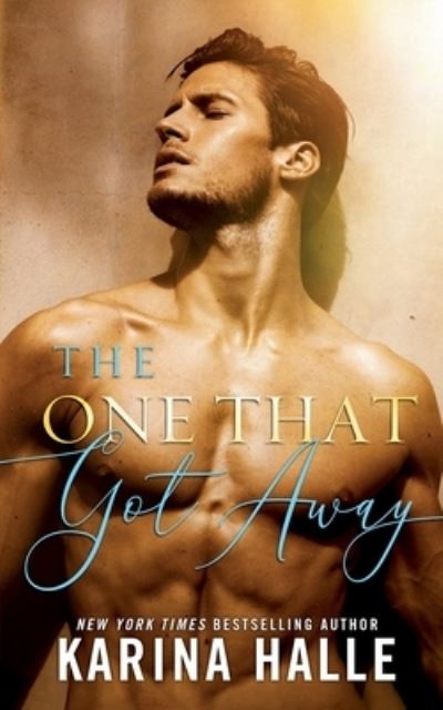 Cover for Karina Halle · The One That Got Away (Taschenbuch) (2020)