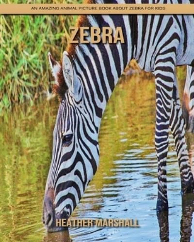 Cover for Heather Marshall · Zebra: An Amazing Animal Picture Book about Zebra for Kids (Pocketbok) (2021)