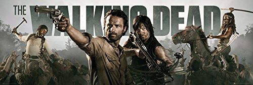 Cover for Walking Dead (The) · Walking Dead (The): Banner (Poster Da Porta 53x158 Cm) (MERCH)