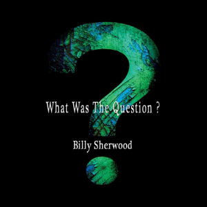 What Was The Question? - Billy Sherwood - Music - CHERRY RED - 5060105490590 - August 31, 2017