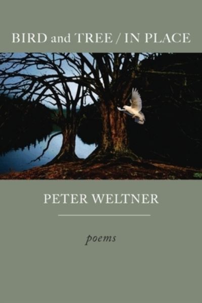 Cover for Peter Weltner · BIRD and TREE / IN PLACE (Paperback Book) (2020)