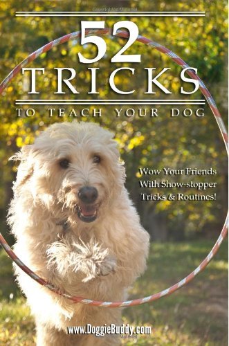 Cover for Doggiebuddy · 52 Tricks to Teach Your Dog (Paperback Bog) [First edition] (2013)
