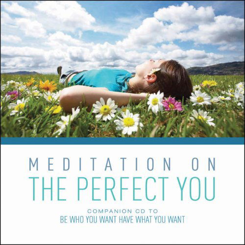 Cover for Chris Prentiss · Meditation on the Perfect You (Audiobook (CD)) (2008)