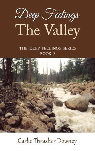 Cover for Carlie Thrasher Downey · Deep Feelings: the Valley: Book 2 (The Deep Feelings Series) (Volume 2) (Paperback Book) (2013)