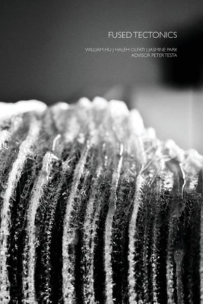 Cover for Glusion · Fused Tectonics (Book) (2012)