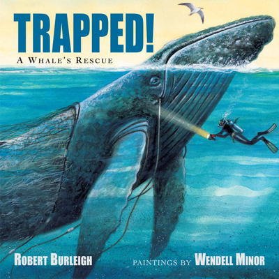 Trapped!: A Whale's Rescue - Robert Burleigh - Libros - Charlesbridge Publishing,U.S. - 9781580895590 - 8 de mayo de 2018
