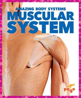 Cover for Karen Kenney · Muscular System - Amazing Body Systems (Hardcover Book) (2019)