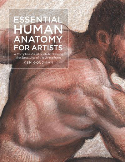 Cover for Ken Goldman · Essential Human Anatomy for Artists: A Complete Visual Guide to Drawing the Structures of the Living Form - For Artists (Taschenbuch) (2023)