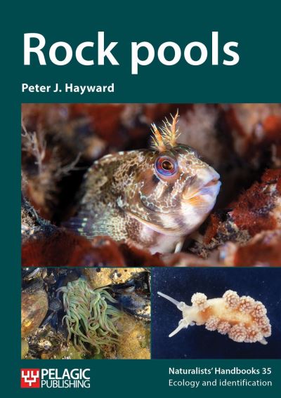 Rock pools - Naturalists' Handbooks - Peter J. Hayward - Książki - Pelagic Publishing - 9781784273590 - 27 września 2022