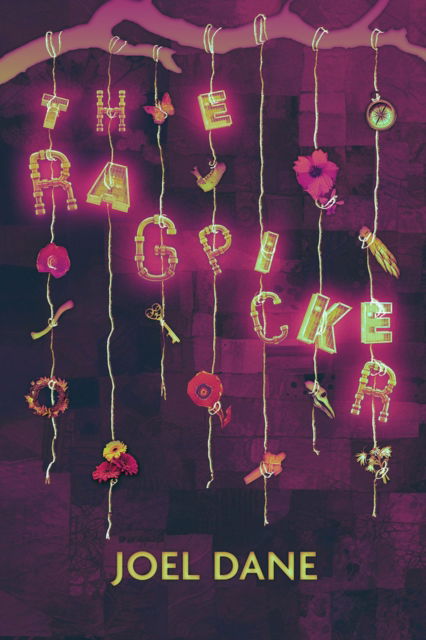 Cover for Joel Dane · The Ragpicker (Paperback Book) (2024)
