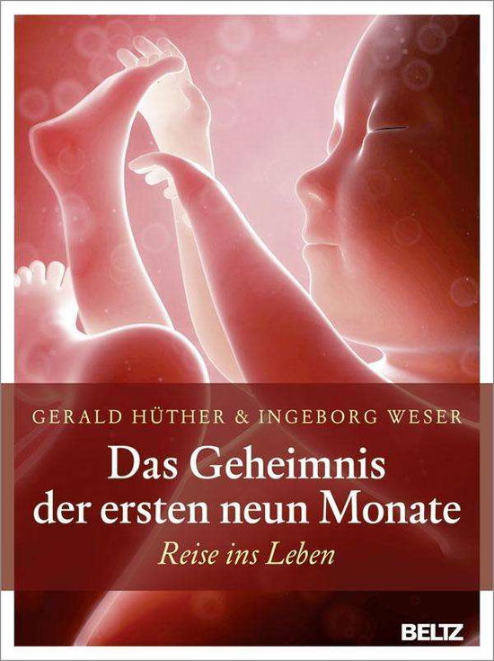 Cover for Hüther · Das Geheimnis der ersten neun Mo (Bok)