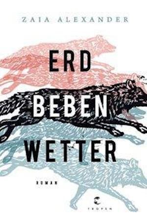 Cover for Zaia Alexander · Erdbebenwetter (Gebundenes Buch) (2020)