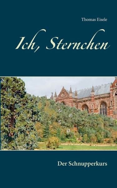 Cover for Eisele · Ich, Sternchen (Bog) (2018)