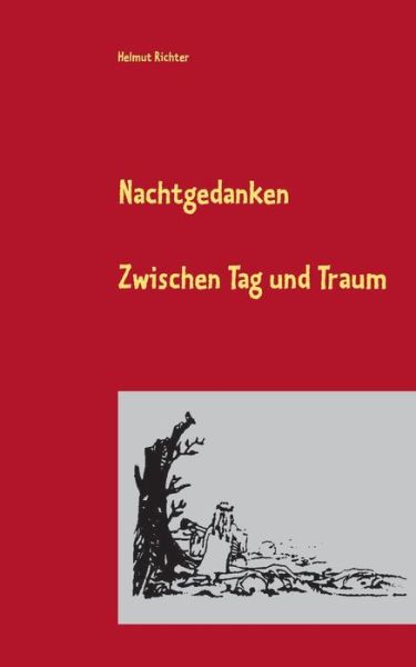 Cover for Helmut Richter · Nachtgedanken 2020 (Paperback Book) (2021)