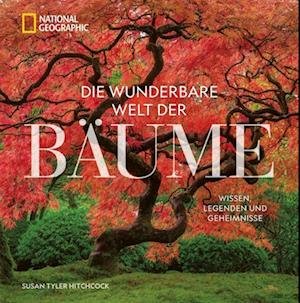 Cover for Susan Tyler Hitchcock · Die wunderbare Welt der Bäume (Bog) (2024)