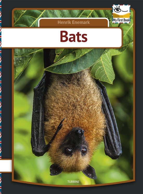 Cover for Henrik Enemark · My first book: Bats (Hardcover Book) [1.º edición] (2020)