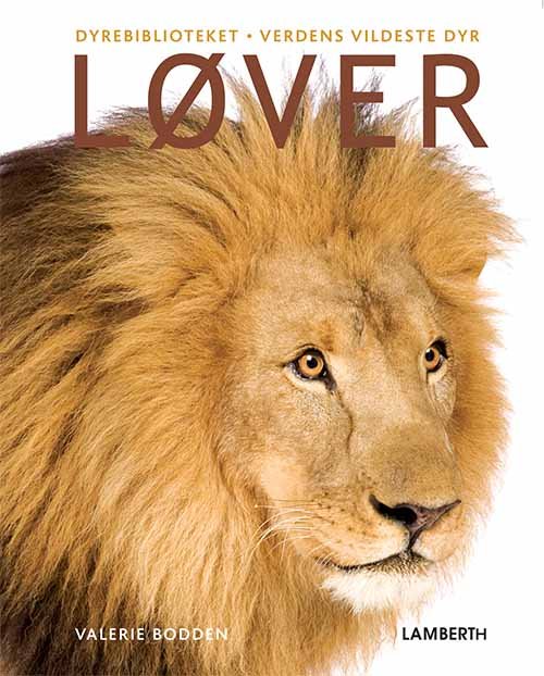 Cover for Valerie Bodden · Verdens vildeste dyr: Løver (Bound Book) [1er édition] (2019)