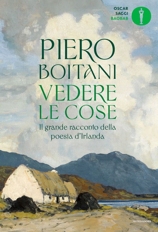 Cover for Piero Boitani · Vedere Le Cose. Il Grande Racconto Della Poesia D'irlanda (DVD)