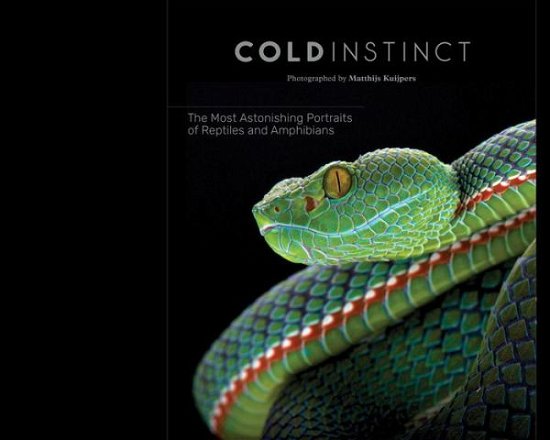 Cover for Matthijs Kuijpers · Cold Instinct (Hardcover Book) (2020)
