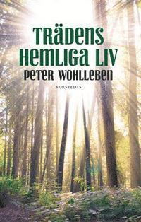 Cover for Wohlleben Peter · Trädens hemliga liv (Inbunden Bok) (2016)