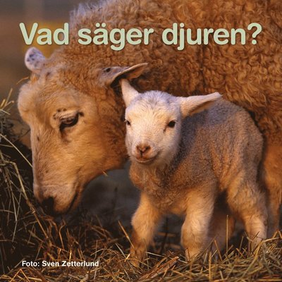 Cover for Sven Zetterlund · Vad säger djuren? (Board book) (2021)