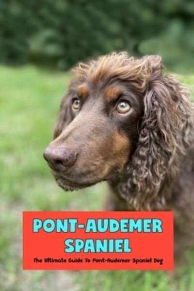 Cover for Gosnell Mollie · Pont-Audemer Spaniel: The Ultimate Guide To Pont-Audemer Spaniel Dog (Paperback Book) (2022)