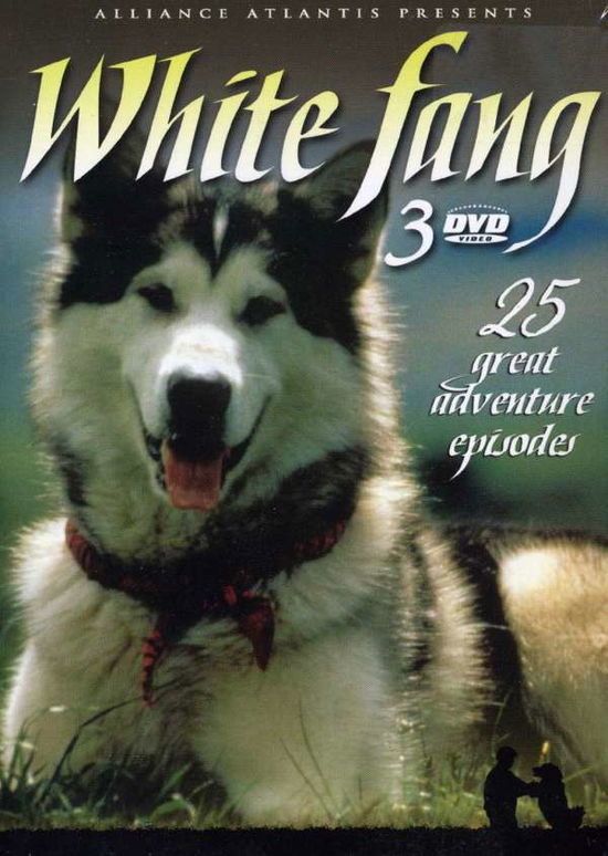 Cover for White Fang (DVD) (2004)