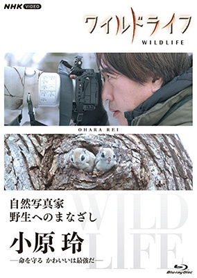 Cover for (Documentary) · Wild Life Shizen Shashinka Yasei He No Manazashi Ohara Rei -inochi Wo Mamoru Kaw (MBD) [Japan Import edition] (2022)