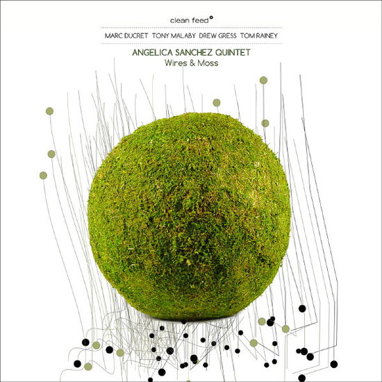 Cover for Angelica Sanchez · Wires &amp; Moss (CD) (2013)