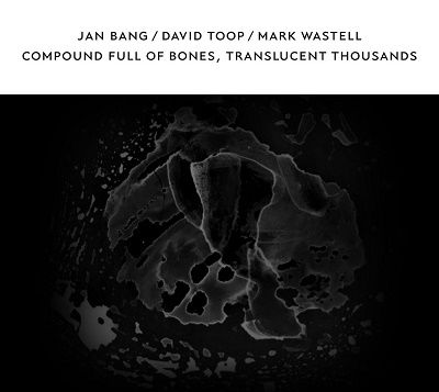 Cover for Toop, David &amp; Jan Bang &amp; Mark Wastell · Compound Full Of Bones, Translucent Thousands (CD) (2022)