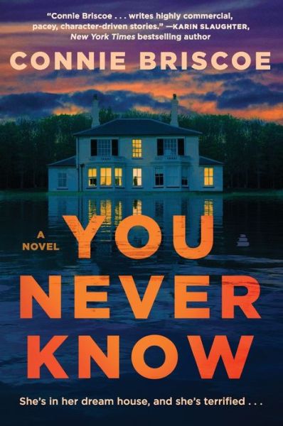 Cover for Connie Briscoe · You Never Know (Book) (2024)