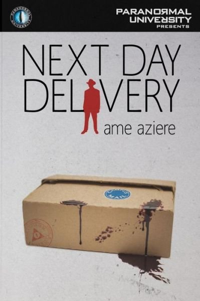Cover for Ame Aziere · Next Day Delivery (Paperback Book) (2013)