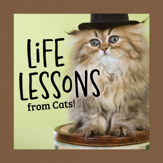 Cover for Grace Peterson · Life Lessons from Cats (Hardcover Book) (2025)