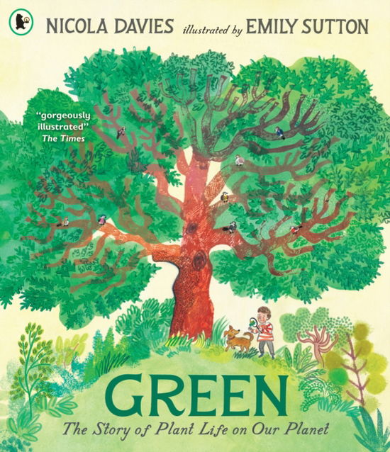 Cover for Nicola Davies · Green: The Story of Plant Life on Our Planet (Paperback Book) (2025)