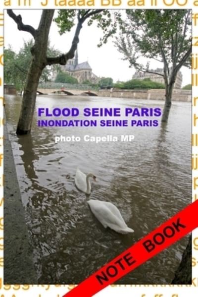 Cover for Capella MP · Inondation Seine Paris 2016 (Paperback Book) (2016)