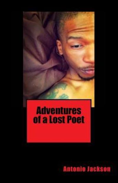 Cover for A Jackson · Adventures of a Lost Poet (Paperback Book) (2017)