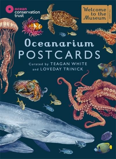 Cover for Loveday Trinick · Oceanarium Postcards - Welcome To The Museum (Flashcards) (2022)