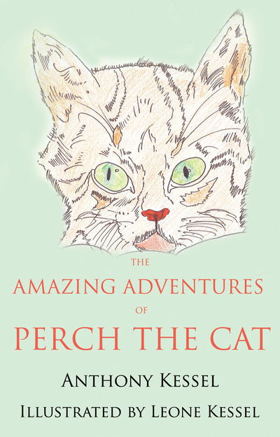 Cover for Anthony Kessel · Amazing Adventures of Perch the Cat (Paperback Book) (2013)