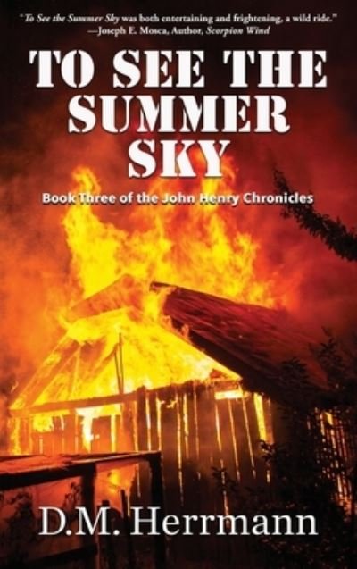 Cover for D M Herrmann · To See the Summer Sky (Innbunden bok) (2021)