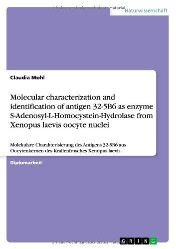 Cover for Mohl · Molecular characterization and ide (Book) [German edition] (2013)