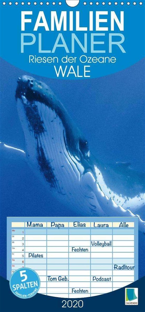 Riesen der Ozeane (Wandkalender 2 - Wale - Books -  - 9783670999591 - 