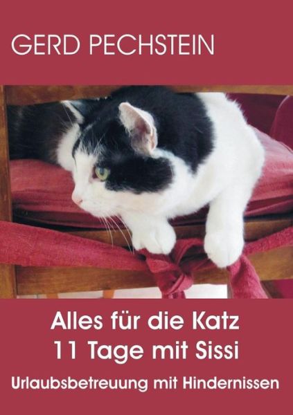 Cover for Pechstein · Alles für die Katz 11 Tage mi (Book)